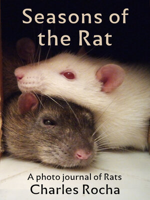 cover image of Seasons of the Rat